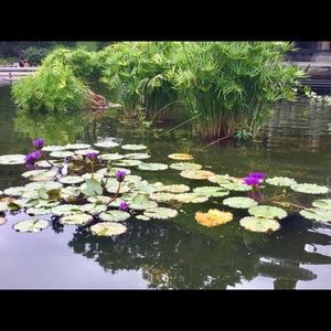 Meet your Posher, Shary